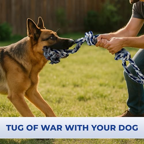 Pup Quartet Dog Rope Toy for Aggressive Chewers 2-Pack Tug of War Dog Toy with Thick Knots Heavy Duty Rop Toys for Dogs – Indestructible Rope Chew Toys for Medium & Large Dogs - color: blue/white and yellow/blue/red