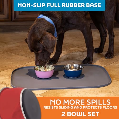 Master Pet Supply Stainless Steel Dog Bowls Set of 2 (16 Oz Each) with Non-Slip Rubber Base - Crimson Flame - Basic Dog Food Bowl Water & Food Bowls for Small Medium Large Dogs & Cats, Metal Dish - color: Crimson Flame, size: 2 Cups (16 oz) 2 Pack