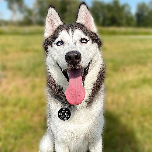 Stainless Steel QR Code Pet ID | Personalized Dog & Cat Tag with Online Profile & Location Alert Email | Durable Collar Identifier