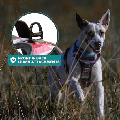 Embark Adventure Small Dog Harness – No-Pull, Reflective Trim, Military-Grade Nylon, Front Clip with Gel-Lined Handle, Soft & Padded - color: Baja, size: S