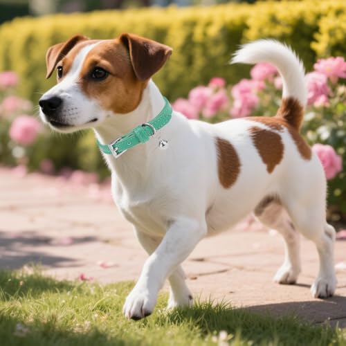PUPTECK 2 PCS Soft Genuine Leather Cat Kitten Collar with Bells Adjustable for Girl Boy Cats Puppy - Blue Green, Bubble Green - color: Blue Green & Bubble Green