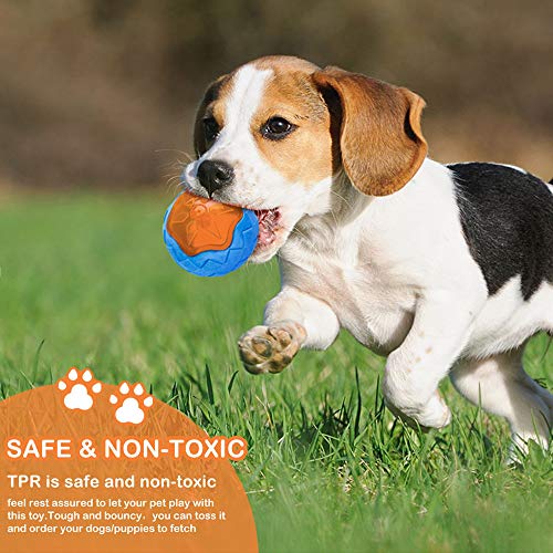 Dog Squeaky Toys, Pool & Beach Toys for Interactive Fetch & Play, TPR