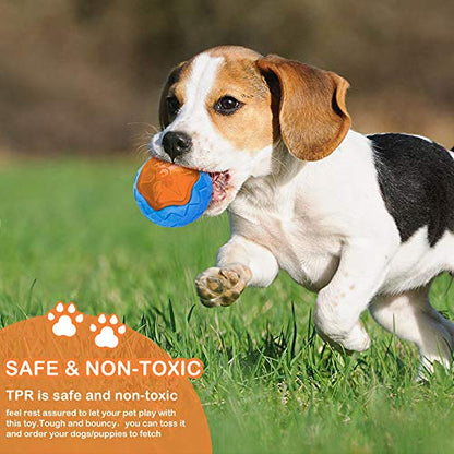 Dog Squeaky Toys, Pool & Beach Toys for Interactive Fetch & Play, TPR