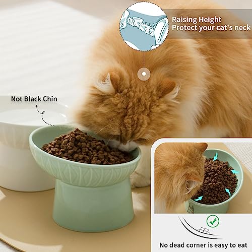 6.5 Inch Extra Wide Elevated Cat Bowls, Ceramic Raised Tilted Cat Bowl for Food and Water, Porcelain Pet Feeder Dishes for Cats & Dogs, Whisker Fatigue, White & Green - color: White & Green