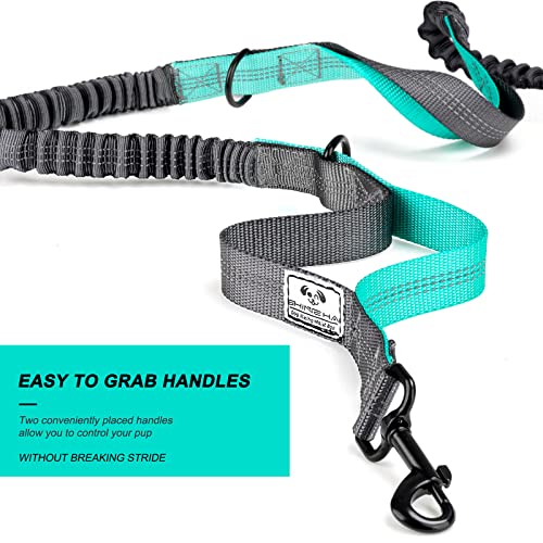 SHINE HAI Retractable Hands Free Dog Leash with Dual Bungees for 2 Dogs, Adjustable Waist Belt, Reflective Stitching Leash for Running Walking Hiking Jogging Biking Black - Gray - color: Gray