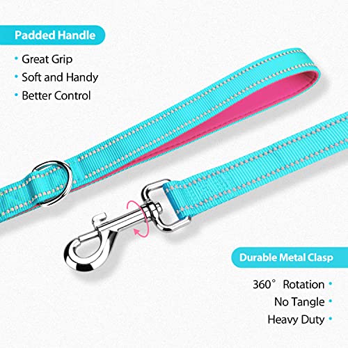 PHOEPET 5 Feet Dog Leash with Comfortable Padded Handle Easy Snap Clasp - Reflective Walking Lead for Large, Medium & Small Breed Dogs (Mint Green + Pink Base) - color: Mint Green + Pink Base