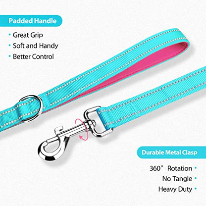 PHOEPET 5 Feet Dog Leash with Comfortable Padded Handle Easy Snap Clasp - Reflective Walking Lead for Large, Medium & Small Breed Dogs (Mint Green + Pink Base) - color: Mint Green + Pink Base