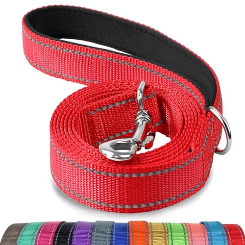 Joytale Dog Leash, 4 FT Double-Sided Reflective, Padded Handle Nylon Heavy Duty Leashes for Small Dogs Walking, Red - color: Red, size: 4 ft Narrow