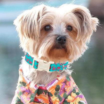 Summer Dog Collar, Cute Boy Flamingo Pool Party Dog Collars for Puppy Small Dogs - Beach Day Pup Collar, Soft Adjustable Male Pet Collars with Quick Release Buckle XS - color: Flamingo, size: XS