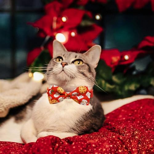 2 Pack Christmas Dear Santa & Cookie Mail Design Collars with Removable Bow Tie & Bell, Holiday Breakaway Safety Buckle Collar for Boys and Girls Kitties and Kitten(Red&Green) - color: Christmas Jolly