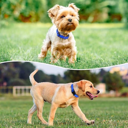 Reflective Dog Collar Padded with Soft Neoprene Breathable Quick Release Basic Dog Collars for Puppy Small Dogs Boy Girl Blue - color: Blue, size: S:width 5/8"neck 10.5-16"
