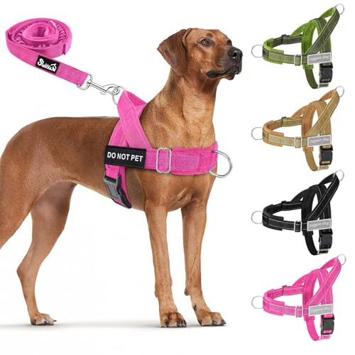 Lukovee No Pull Dog Harness and Leash Set - Heavy Duty Dog Vest with Soft Velvet Padding for Medium Large Dogs, Adjustable Reflective Tactical Harness with 2 Control Handles & Front Clip (S, FU) - color: Fuchsia, size: Small