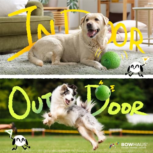 BOWHAUS Giggle Ball for Dogs, 5.5 Inch Interactive Treat Dispensing Ball, Indestructible Fun Squeaky Dog Chew Exercise Toy, Non-Toxic Durable PVC Wobble Giggle Toy for Indoor Outdoor Play - style: Treat Ball - Classic Style