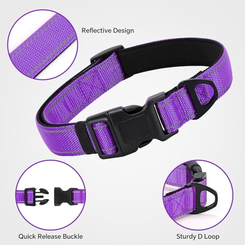 Reflective Dog Collar with Quick Release Buckle - Metal Ring - Adjustable Soft Neoprene Padded Basic Dog Collar for Small Medium Large Dogs (Purple, Medium :Width 1",Neck 13.8-19.6") - color: Purple, size: Medium
