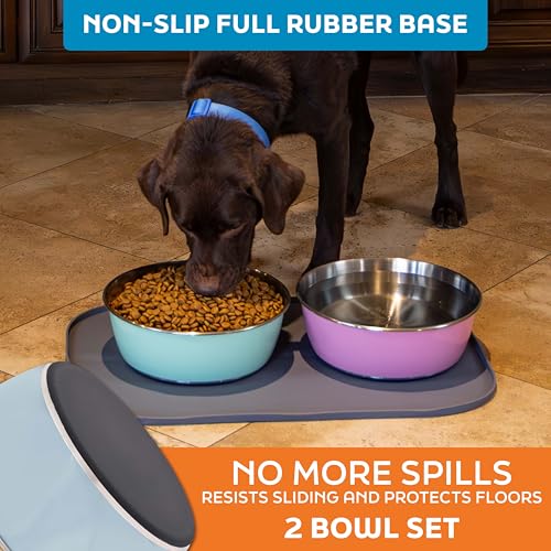 Master Pet Supply Stainless Steel Dog Bowls Set of 2 (64 Oz Each) with Non-Slip Rubber Base - Glacier Blue - Basic Dog Food Bowl Water & Food Bowls for Small Medium Large Dogs & Cats, Metal Dish - color: Glacier Blue, size: 8 Cups (64 oz) 2 Pack