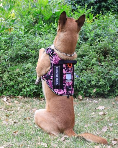Tactical Dog Harness - No-Pull Service Vest for Large Breeds, with Hook & Loop Patch Panel & MOLLE System M (30-50 lbs, Chest: 25–29") Reflective Purple Camo - color: Reflective Purple Camo, size: M (30-50 lbs, Chest: 25–29")