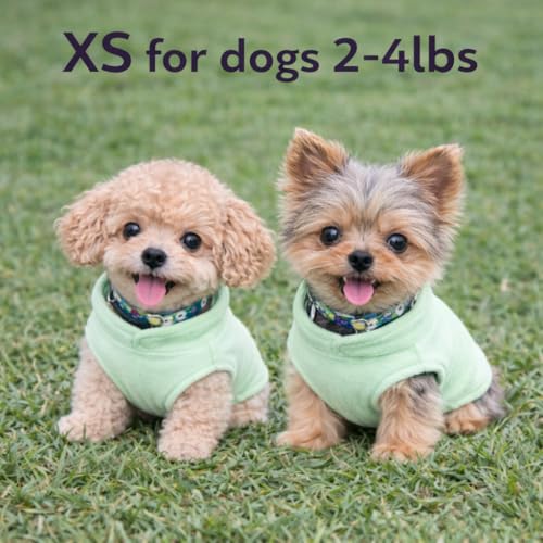 JACKO & CO - Fleece Vest Dog Sweater with Leash Ring - Soft, Warm & Lightweight Pullover Coat for Small & Medium Dogs, Puppies & Cats - Cozy Fall/Winter/Spring Pet Jacket (Mint Green, X-Small 3lbs) - color: Mint Green, size: XS (2-4lbs)
