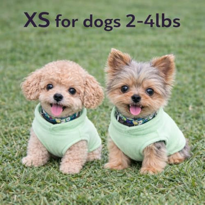 JACKO & CO - Fleece Vest Dog Sweater with Leash Ring - Soft, Warm & Lightweight Pullover Coat for Small & Medium Dogs, Puppies & Cats - Cozy Fall/Winter/Spring Pet Jacket (Mint Green, X-Small 3lbs) - color: Mint Green, size: XS (2-4lbs)