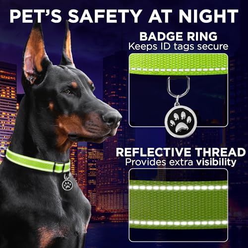 TECEUM Reflective Dog Collar – Acid Green – XXS – Extra Soft Padding – Basic Nylon Pet Collar – Quick Release Buckle – Fits Small, Medium and Large Dogs, Puppies, Cats – ESA & Service Dog Options - color: Acid Green, size: XX-Small