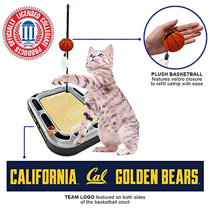 Cat Scratch Toy NCAA CALIFORNIA BERKELEY Golden Bears REVERSIBLE Basketball Court Felt/Cardboard Cat Scratcher. Interactive Cat Ball Bell. 6-in-1 CAT TOY: Cat Wand Poll, CATNIP-FILLED Plush Basketball - color: Golden Bears