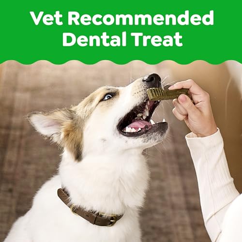 Greenies Veterinarian-Recommended Natural Dental Dog Treats, Large Size, Original Flavor, 36 oz. Pack, 24 Count - size: 24 Count (Pack of 1)