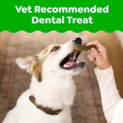 Greenies Veterinarian-Recommended Natural Dental Dog Treats, Large Size, Original Flavor, 36 oz. Pack, 24 Count - size: 24 Count (Pack of 1)
