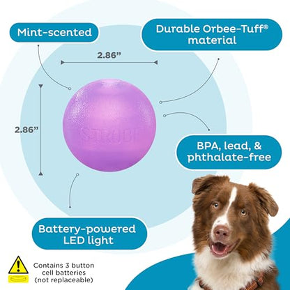 Outward Hound by Planet Dog Strobe Light Up LED Ball Dog Toy, Purple - color: Purple Strobe Toy