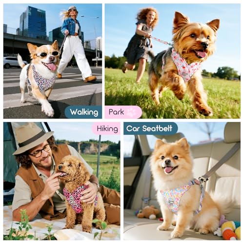 Pawaboo Small Dog Harness and Leash Set, Puppy Harness X-Frame No Pull No Choke, Dog Vest Harnesses Adjustable for Small Medium Sized Dogs,Soft Breathable Pet Harnesses, S, Magenta Leopard - color: C-Magenta Leopard, size: S(Neck 12.6-16.5" Chest 12.6-22.