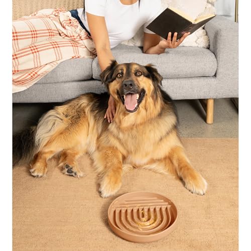 Should We Go? Slow Feeder for Dogs & Puppies, The Slowdown Bowl Silicone Slow Eating, Lick Mat Design, Reduces Gulping, Fits 2.5 Cups, 9.5” Across x 1.5” Tall, Mealtime Challenge, Large-Terracotta - color: Terracotta - Rainbow Design, size: Large (9.5” Ac