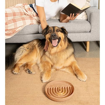 Should We Go? Slow Feeder for Dogs & Puppies, The Slowdown Bowl Silicone Slow Eating, Lick Mat Design, Reduces Gulping, Fits 2.5 Cups, 9.5” Across x 1.5” Tall, Mealtime Challenge, Large-Terracotta - color: Terracotta - Rainbow Design, size: Large (9.5” Ac