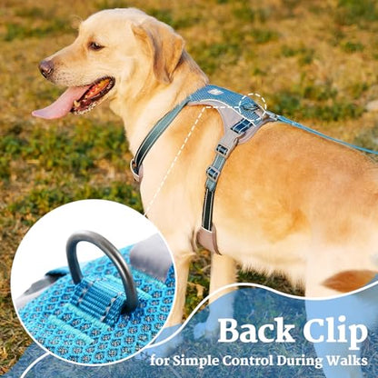 Huntboo No-Pull Dog Harness, Fully Reflective Vest with 2 Leash Clips, No-Choke, Adjustable, Breathable & Durable for Small, Medium & Large Dogs Walking, Training, Running (Teal Blue, L) - color: Teal Blue, size: Large (Pack of 1)