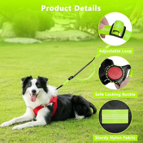 Hands Free Dog Leash with Zipper Pouch, Running Waist Leash for Dog Walking, Adjustable Waist Belt for Large Dogs, Reflective Bungee Design with Two Handle for Hiking, Training, Neon Green - color: Neon Green
