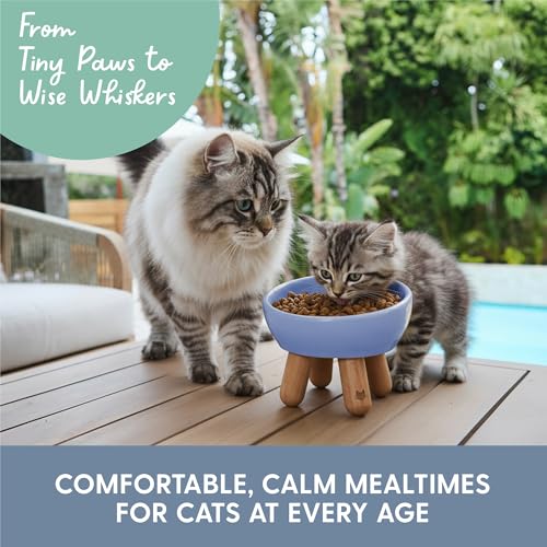 The Cat Ladies Tilted Ceramic Cat Bowl - Elevated Food Bowls Ceramic Pet Bowl - Raised Ceramics Bowls - Elevated & Tilted Design for Comfortable Eating - Dishwasher Safe - Wide Opening - color: Powder Blue