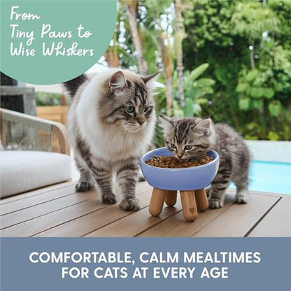 The Cat Ladies Tilted Ceramic Cat Bowl - Elevated Food Bowls Ceramic Pet Bowl - Raised Ceramics Bowls - Elevated & Tilted Design for Comfortable Eating - Dishwasher Safe - Wide Opening - color: Powder Blue