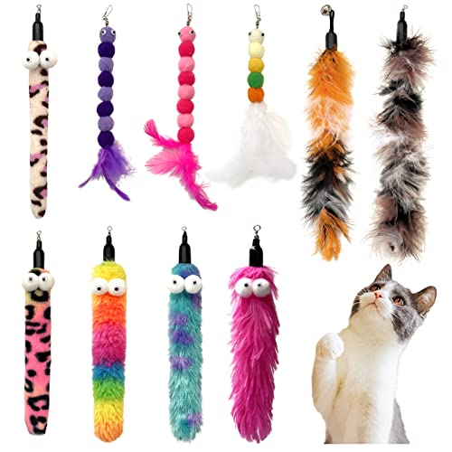 AcceLeah Cat Worm Toy Refills Cats Teaser Toys Cat Fishing Pole Toy Refill Wand Replacement Cat Wand Attachments 10Pcs Cat Worms and Dragonfly Refill,Cat Wand Toy Assorted Teaser Refills(10Pcs) - color: 10Pcs