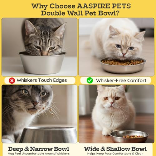 Stainless Steel Cat Food Bowl, 16 oz / 2 Cup Each, Heavy Duty Double Wall Insulated, Shallow Whisker-Friendly Design, Non-Slip Flat Base Dish for Cats & Kittens, D/W Safe Pack of 2