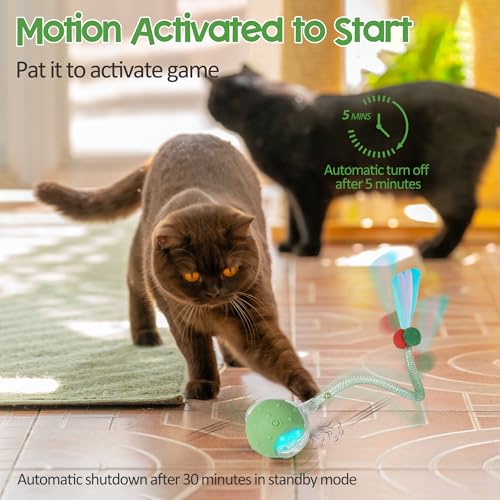 Interactive Cat Toys Ball for Indoor Cats, Automatic Moving Ball Toy with Elastic Mesh Tail, Chirping & Obstacle Avoidance and Motion Activated, Green【Rechargeable】 - color: Green