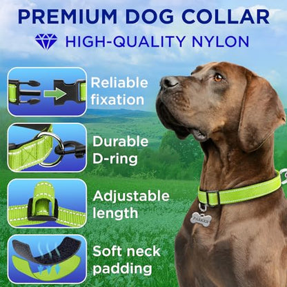 TECEUM Reflective Dog Collar – Acid Green – XXS – Extra Soft Padding – Basic Nylon Pet Collar – Quick Release Buckle – Fits Small, Medium and Large Dogs, Puppies, Cats – ESA & Service Dog Options - color: Acid Green, size: XX-Small