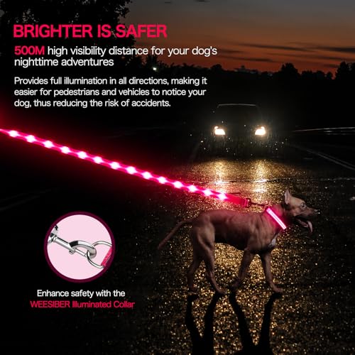 Weesiber Light Up Dog Leash, 4ft LED Dog Leash Rechargeable Puppy Lead Waterproof Safety Glow in The Dark Pet Lights for Night Walking (Pink) - color: Pink