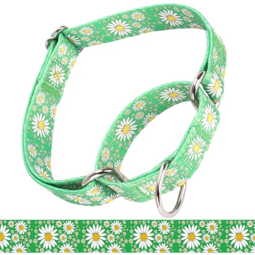 Green Martingale Collar for Dogs, Adjustable Soft Nylon No Slip No Pull Training Collar, Durable Escape Proof Cinch Collar for Small Medium Large Dogs (Green, M (Neck 14"-18")) - color: Green, size: M (Neck 14"-18")