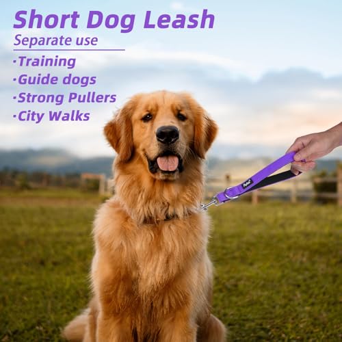 PUPTECK Chew Proof Dog Leash with Detachable Short Leashes Padded Handle Reflective, Heavy Duty Steel Cable Lead for Small Medium Large Dogs Training Walking, Purple 4.9ft - color: Purple