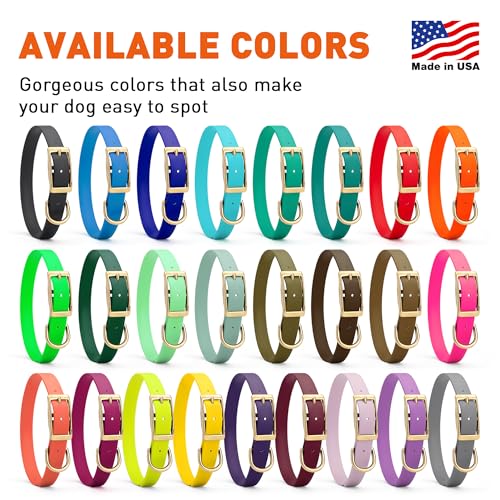 Viper Biothane Heavy Duty Waterproof Dog Collar Strong Coated Nylon Webbing w/Solid Brass Hardware Odor-Proof for Easy Care Easy to Clean High Performance Fits Small Medium or Large Dogs, Blue Aqua