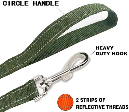 Reflective Dog Leash 4Ft /5 Foot /6 Feet Long, 1 Inch Wide, for Small and Medium Dogs - color: Reflective Green, size: 1'' x 4 FT