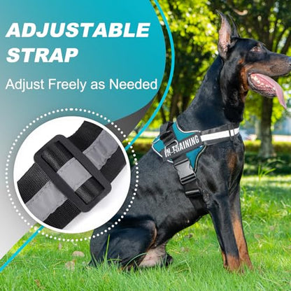 JUSTYEZI Essential Dog Harness with 3 Leash Clips - No-Pull, Adjustable, Comfortable Pet Vest Harness for Small to Large Dogs - Easy On, No Choke, Reflective, Padded Harness for Walking and Training