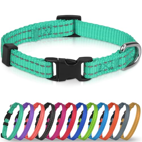 Joytale Puppy Collar, Feather-Light Double-Sided Reflective Nylon Collar for Night Safety, Adjustable Quick-Release for Extra Small Dogs, Teal, XS (3/8" Width) - color: Turquoise, size: XS: Width 3/8", Neck 8-12"