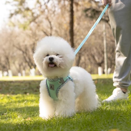 Dog Harness & Leash Set - No Pull Soft Breathable Small Dog Harness, Adjustable Reflective Step-in Vest for Puppy, Kitten, Cats - color: blue-green, size: xxs