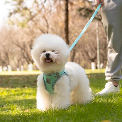 Dog Harness & Leash Set - No Pull Soft Breathable Small Dog Harness, Adjustable Reflective Step-in Vest for Puppy, Kitten, Cats - color: blue-green, size: xxs
