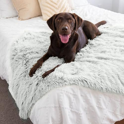 Best Friends by Sheri Calming Shag Dog Blanket – Ultra Soft Faux Fur Pet Throw, Anxiety-Relief, Lightweight Warm Bed Cover for Dogs and Cats, Machine Washable, Frost Gray, 40" x 50" - color: Frost, size: 40" x 50"
