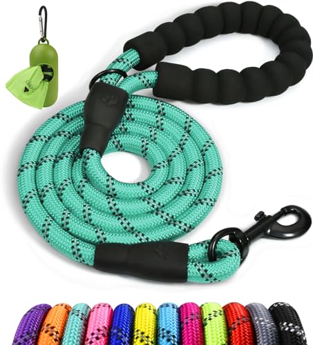 Taglory Rope Dog Leash 4 FT with Comfortable Padded Handle, Highly Reflective Threads Leash and Anti-Tangle Clip for Walking Medium Large Dogs, 1/2 inch, Turquoise - color: Turquoise, size: 1/2" x 4 FT (20~120 lbs.)