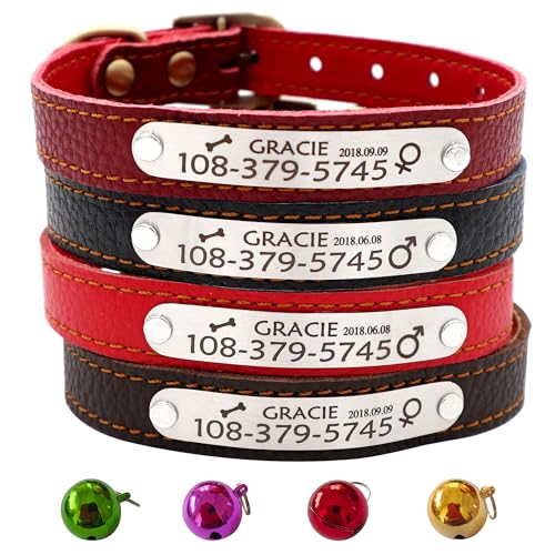 Personalized Leather Cat Collar,Custom with Name Plate and Bell for Boy and Girl Kitten/Cat(XS,Black) - color: Black, size: XS